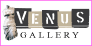Venus Gallery